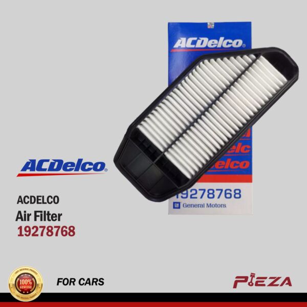 ACDELCO Air Filters 19278769