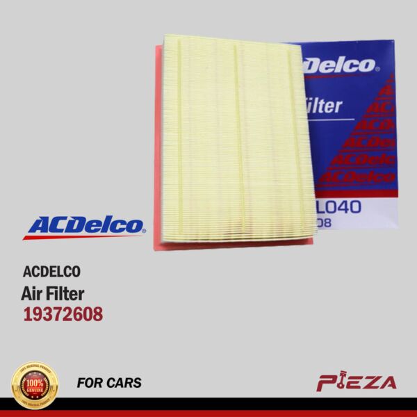 ACDELCO Air Filters 19372608