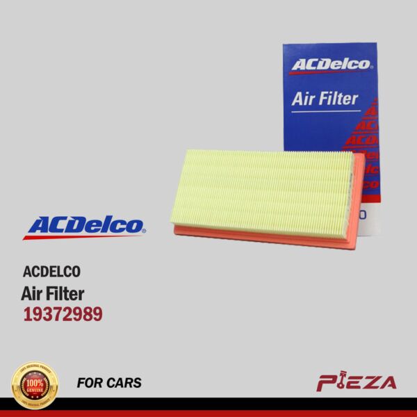 ACDELCO Air Filters 19372989