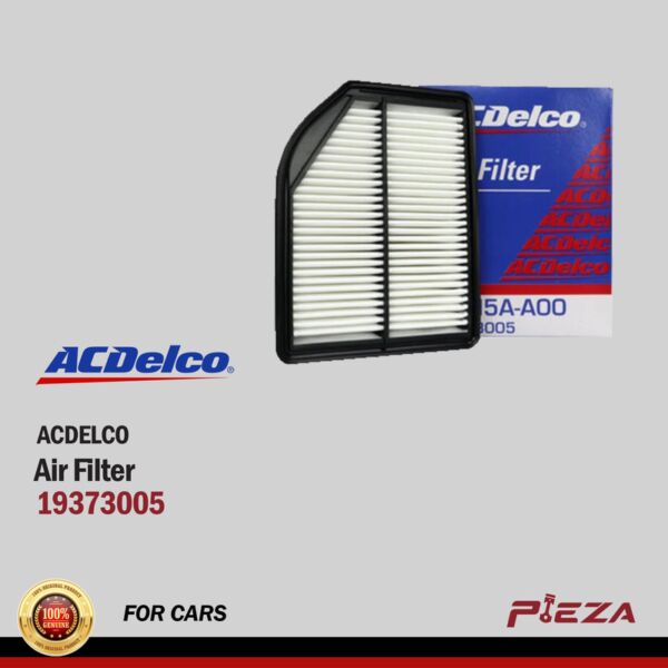 ACDELCO Air Filters 19373005