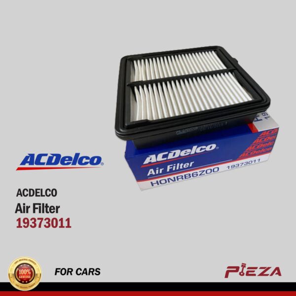 ACDELCO Air Filters 19373011