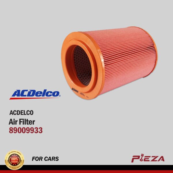 ACDELCO Air Filters 89009933