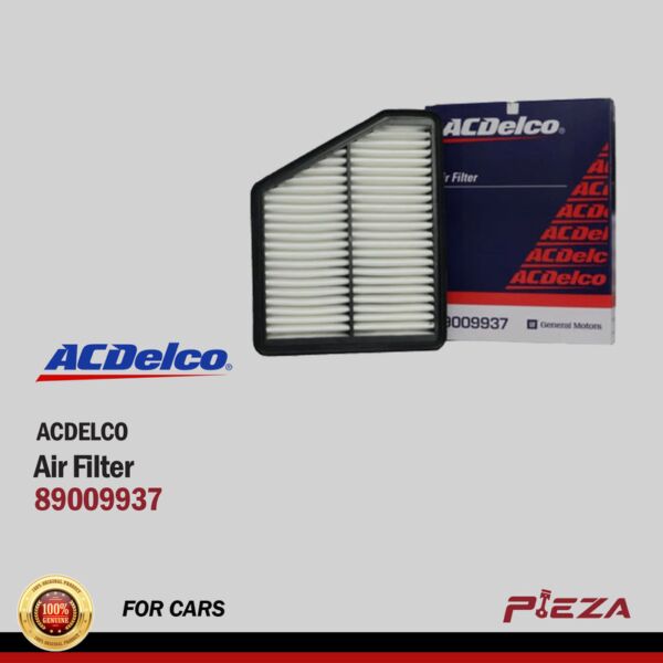 ACDELCO Air Filters 89009937