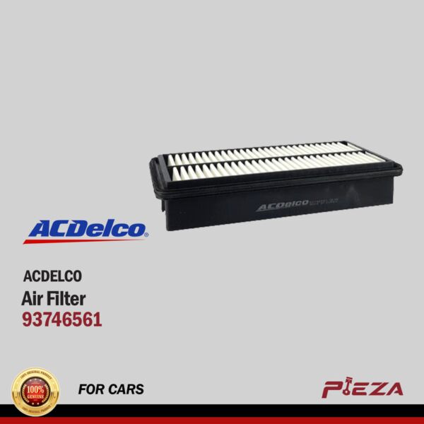 ACDELCO Air Filters 93746561