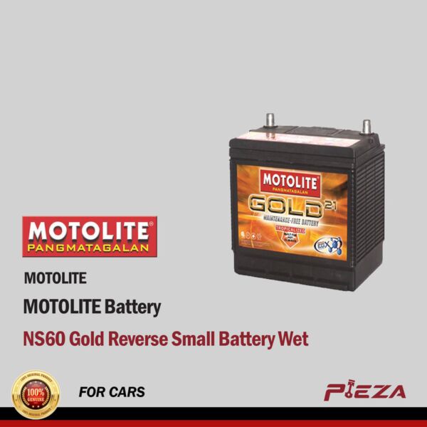 NS60 MOTOLITE Gold Reverse Small Battery Wet